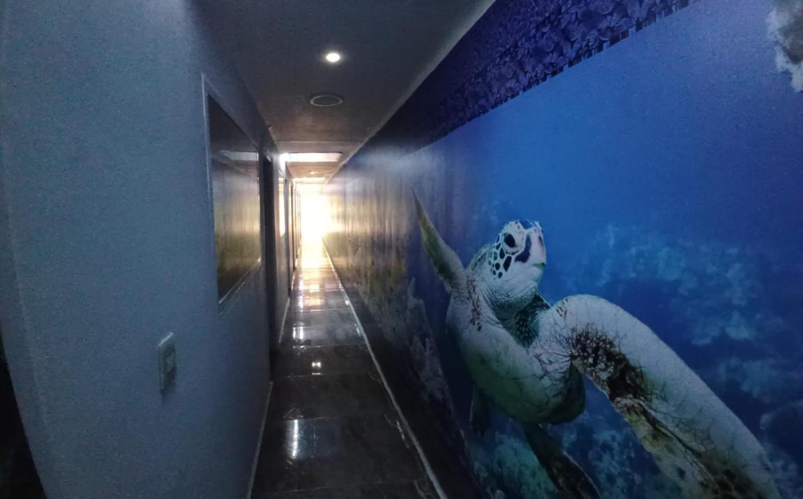 Hotel Dmauro — Photos 2