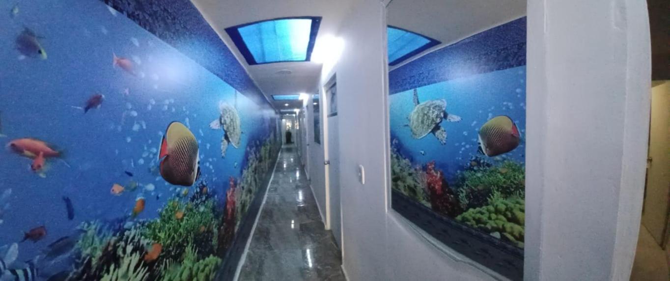Hotel Dmauro — Photos 1